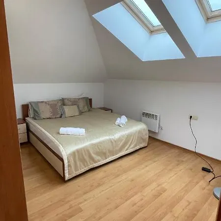 Two Bedroom Flat In Magernitsa Банско